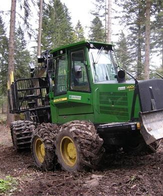 Lavori Nel Bosco